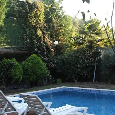 Detached With A Heated Pool And Garden