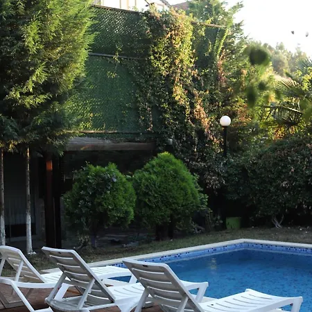 Detached With A Heated Pool And Garden