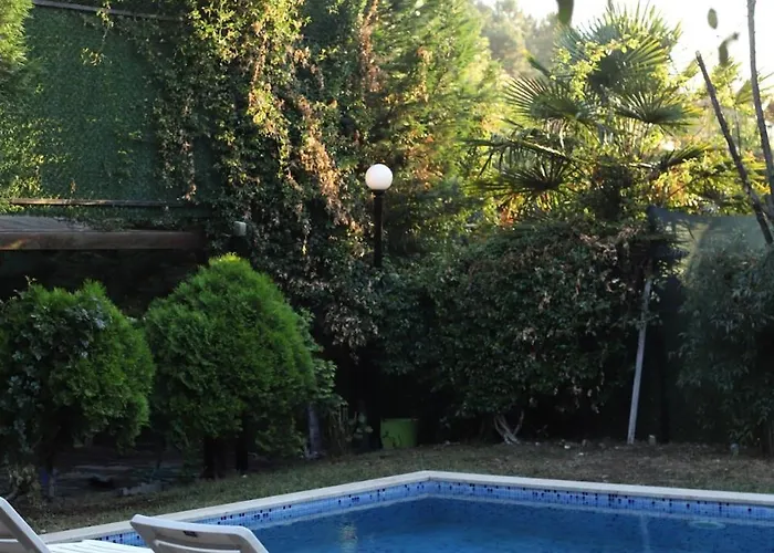 Detached With A Heated Pool And Garden