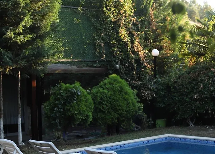 Detached With A Heated Pool And Garden